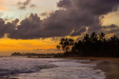 Gün batımında hindistan cevizi palmiyesi siluetleri ile vahşi sahilde bulutlar. Unawatuna, Sri Lanka.