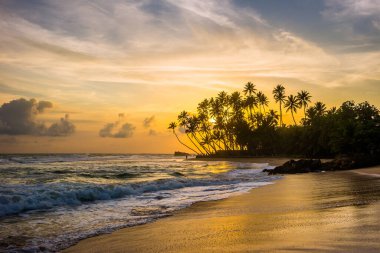 Palmiye ağaçlarının siluetleri ve Sri Lanka 'da günbatımında inanılmaz bulutlu gökyüzü olan vahşi tropikal plajlar..