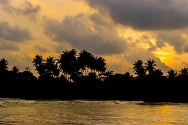 Gün batımında güzel renkli bulutlu gökyüzüne karşı ufukta siyah palmiye ağaçları siluetleri olan tropik bir sahil. Hint Okyanusu kıyısı, Sri Lanka.