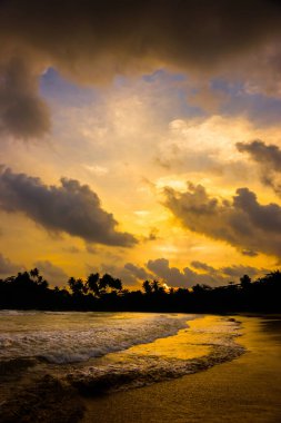 Okyanus üzerinde dramatik günbatımı bulutlu gökyüzü. Sri Lanka 'da ufukta siyah palmiye ağaçlarının siluetleri olan vahşi tropikal plaj..
