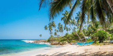 Sri Lanka 'da geleneksel ahşap balıkçı tekneleriyle sahilin panoramik manzarası.