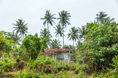 Sri Lanka 'daki tsunami dalgalarıyla yıkılan ev.