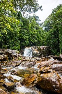 Sinharaja yağmur ormanlarında şelale