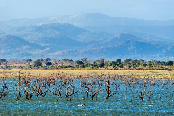 Floresta Submersa Reservatório Uda Walawe Parque Nacional Udawalawe Sri Lanka — Fotografia de Stock