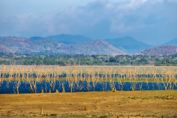 Reservatório Uda Walawe Com Uma Montanha Horizonte Parque Nacional Udawalawe — Fotografia de Stock