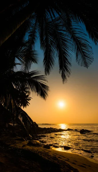 Piękny Zachód Słońca Krajobraz Morski Palmami Kokosowymi Sylwetka — Zdjęcie stockowe