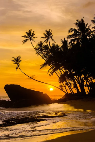 Idyllisch Tropisch Strand Met Silhouetten Van Palmbomen Bewolkte Lucht Bij — Stockfoto