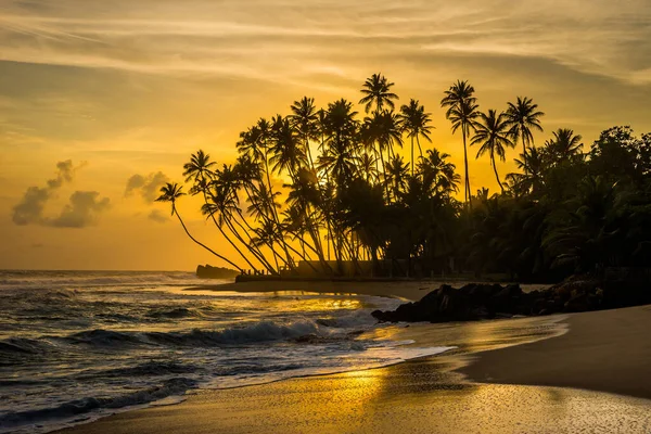 在斯里兰卡 印度洋海岸上有棕榈树的轮廓 日落时天空乌云密布 令人惊奇 — 图库照片
