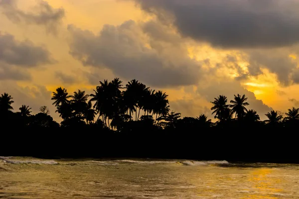 热带海滩 在夕阳西下美丽多彩的云天的映衬下 地平线上的棕榈树映衬着黑暗的轮廓 斯里兰卡 印度洋海岸 — 图库照片