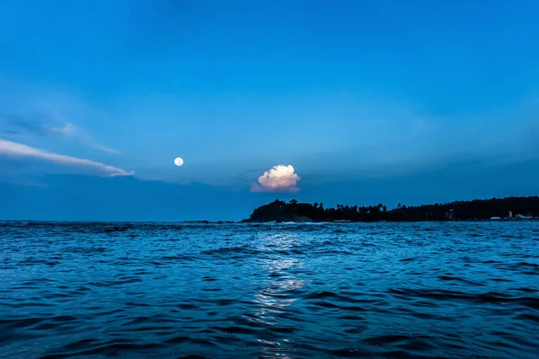 Night seascape with the ocean shore and palms on the horizon. Moonlight over the Indian ocean near Unawatuna, Sri Lanka.