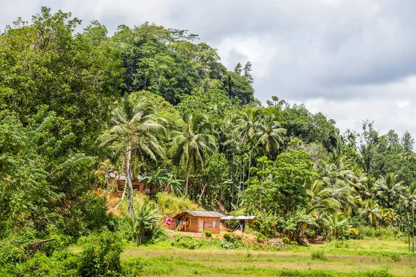 Small Rural Wooden House Sri Lankan Jungle — Stock Photo, Image