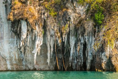 Kireçtaşı kaya dokusu ve açık mavi suyun üzerindeki yeşil bitkiler. Khao Sok Milli Parkı 'ndaki dağlar, Cheo Lan Gölü, Tayland