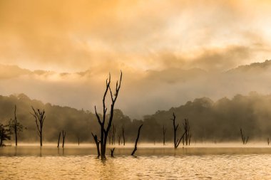 Tropik Cheo Lan Gölü üzerinde sisli bir güneş doğuyor. Khao Sok Ulusal Parkı, Tayland, Surat Thani Bölgesi.
