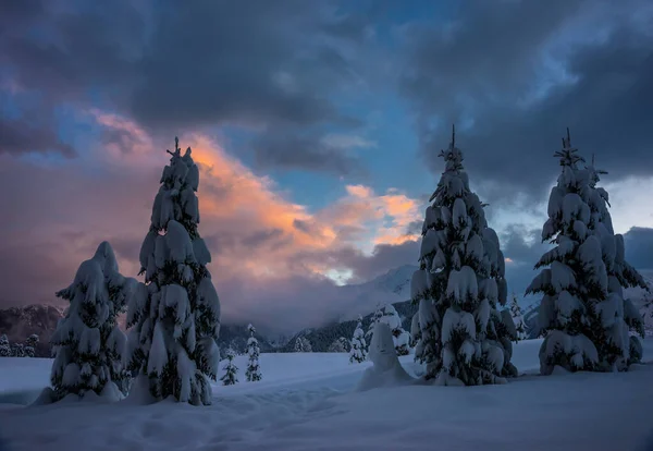 Bosque Pino Cubierto Nieve Ladera Montaña Contra Cielo Nublado Colorido — Foto de Stock