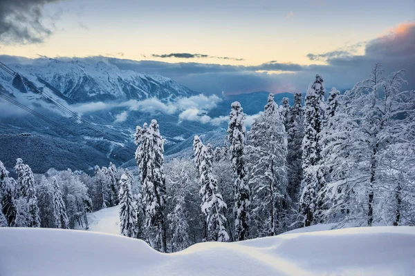 Nevado Paisaje Montaña Invierno Krasnaya Polyana Gazprom Estación Esquí Sochi — Foto de Stock