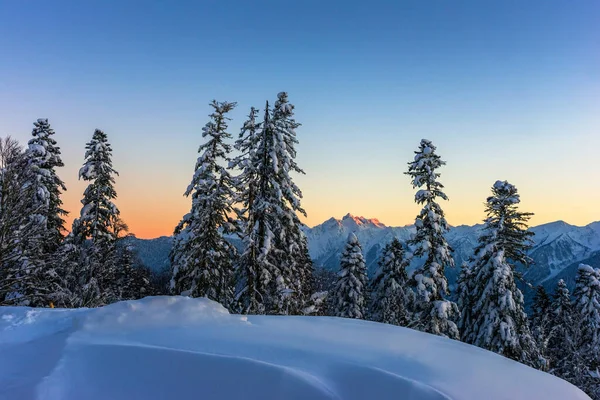 Bosque Cubierto Nieve Contra Las Montañas Del Cáucaso Atardecer Refugio — Foto de Stock