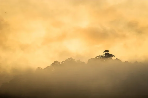 พระอาท นในป าเขตร อนหมอกในอ ทยานแห งชาต เขาซอก ประเทศไทย — ภาพถ่ายสต็อก