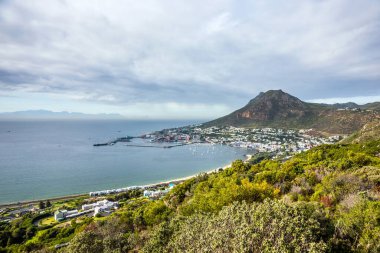 Güney Afrika 'nın Batı Cape bölgesindeki Atlantik Okyanus kıyısında manzara: Ümit Burnu' na giden bir yol ve ağacın altında açan kırmızı aloe vera.