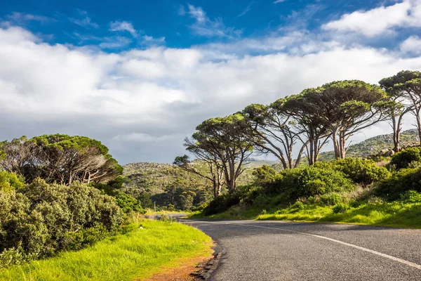 Scenic Geasfalteerde Weg Tafelberg Nationaal Park Bij Kaap Goede Hoop — Stockfoto