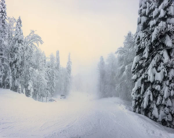 Foggy Winter Landscape Ski Slope Winter Forest Krasnaya Polyana Sochi — Fotografia de Stock