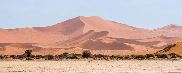 阳光明媚的日子里 高橙色沙丘 绿灌木 纳米比亚Sossusvlei沙漠全景 图库照片