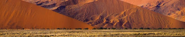 红沙沙丘脚下的绿树全景 Sossusvlei Namib Naukluft国家公园 纳米比亚 免版税图库照片