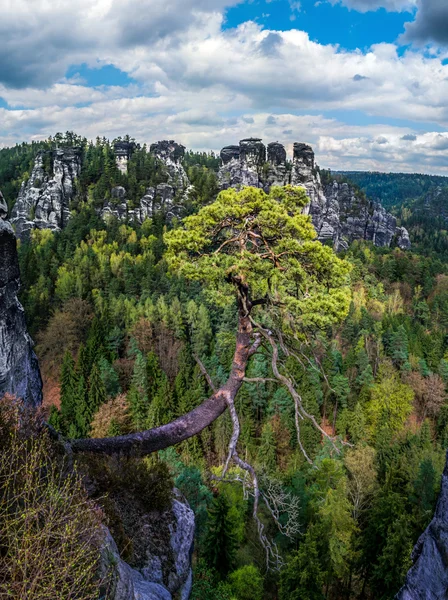 Parc national de Suisse saxonne — Photo