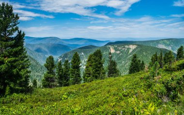 Vahşi Tayga, Sibirya, Rusya 'daki kozalaklı ormanlarla dağlık alan manzarası