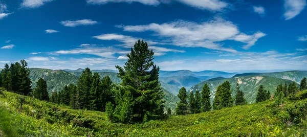 Vista Panorámica Del Paisaje Cordillera Con Bosque Coníferas Taiga Salvaje — Foto de Stock