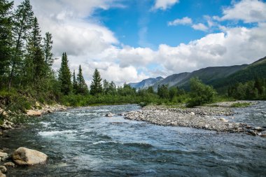 Manaraga Nehri bankadan görüntülemek