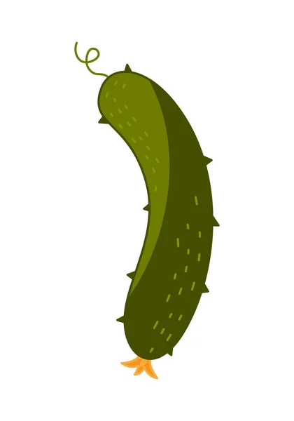 Komkommer pictogram in een platte hand getekende stijl geïsoleerd op een witte achtergrond. Vectorillustratie. — Stockvector