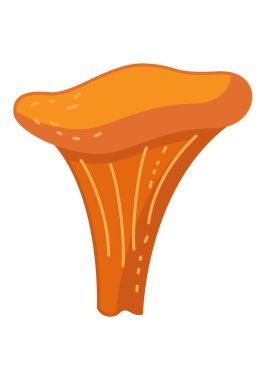 Beyaz arka planda izole edilmiş düz elli Chanterelle mantar ikonu. Vektör illüstrasyonu.