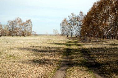 Ağaçlar ve tarlalar arasında bir yol.