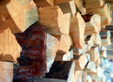 Köyde çam kütükleri düzenli bir şekilde istiflenir.