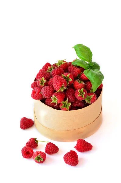 Raspberry in the round box with leaf of mint on the white background — Stock Photo, Image