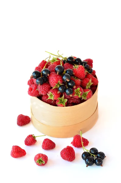 Raspberry and black currant in the round box on the white background — Stock Photo, Image