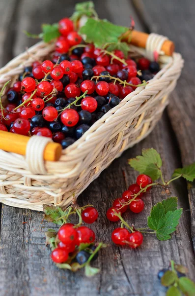 Little basket with redcurrant and blackberries on the old wooden table — Stock Photo, Image