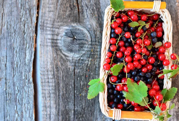 Little basket with redcurrant and blackberries on the old wooden table — Stock Photo, Image