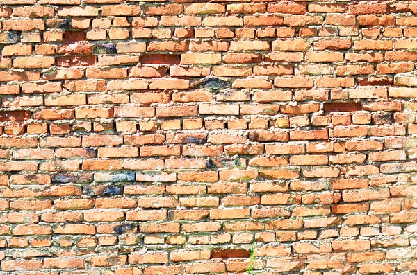 Textura de pared de ladrillos viejos coloridos con mellas —  Fotos de Stock