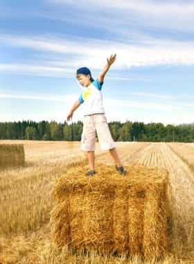 Playing boy on the stack of hay on the wheat  field, cloudy sky