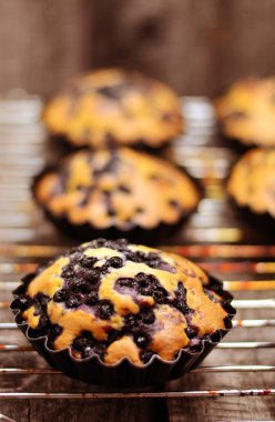 Yaban mersini, tonda fotoğraf, seçici fotoğraf, kasvetli ışık ile yüksek renkli kek