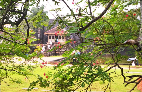 Sri-Lanka, Anuradhapura, December 30, 2015-Budda tempel in de rots — Stockfoto