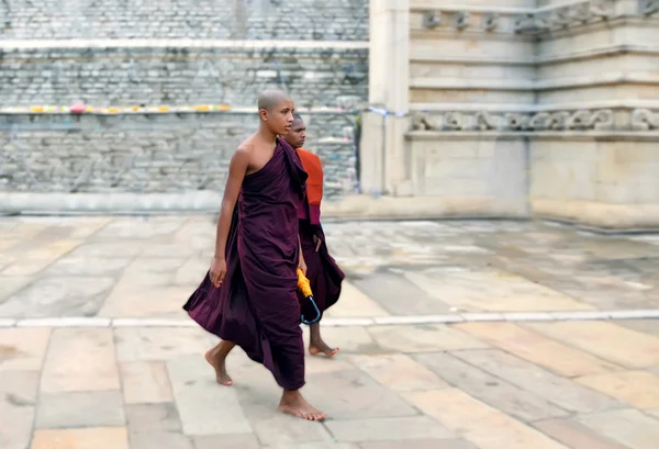 Sri Lanka, Anuradhapura, 30 de dezembro de 2015- Jovem monge budista perto do templo budda (dacoba ) — Fotografia de Stock