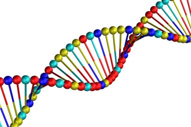 Kavramı: beyaz arka plan üzerinde izole Dna.