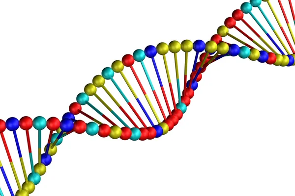 Conceito: DNA, isolado sobre fundo branco . — Fotografia de Stock