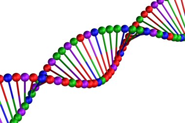 Kavramı: beyaz arka plan üzerinde izole Dna.