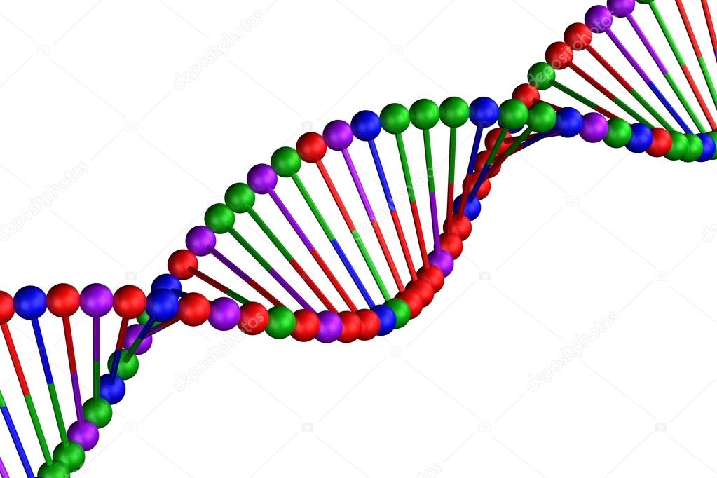 Concept: DNA, isolated on white background.