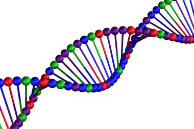 Kavramı: beyaz arka plan üzerinde izole Dna.