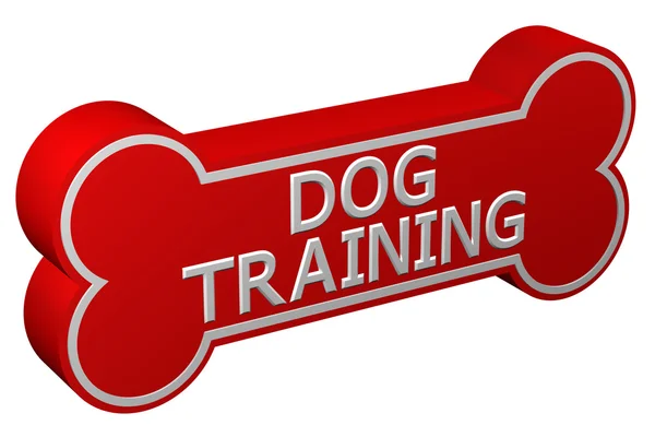 コンセプト: 犬の訓練。3 d レンダリング. — ストック写真