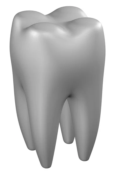 人类的牙齿。3d 渲染. — 图库照片